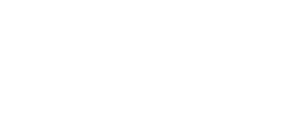 LNDS Report 2024 logo
