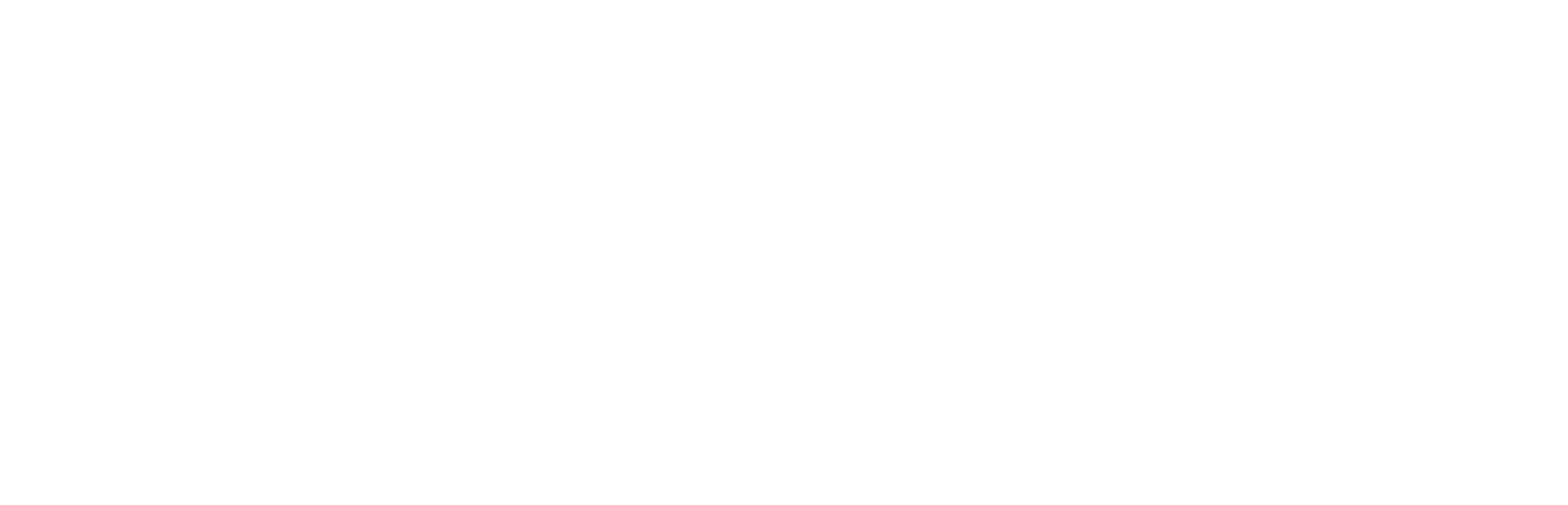 SnT Brochures logo