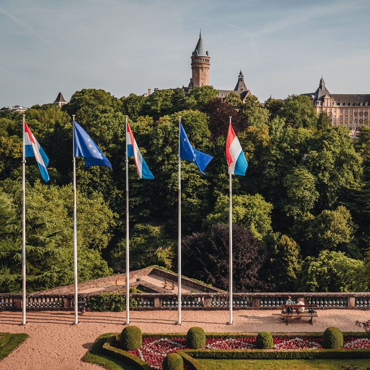 Project thumbnail, Luxembourg Convention Bureau